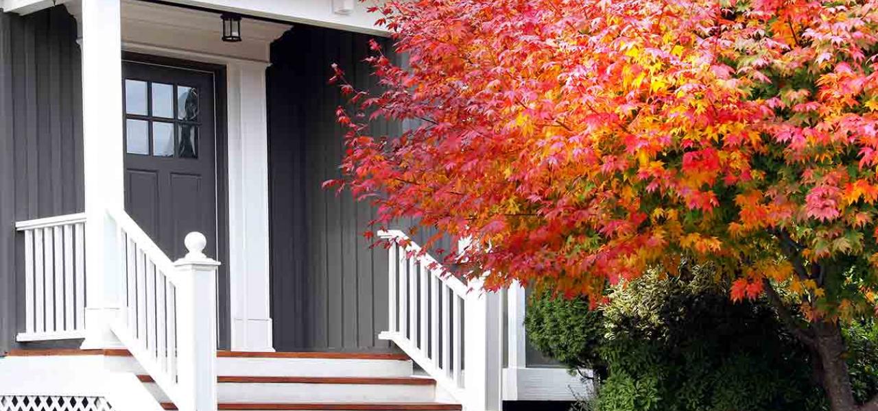 https://natureworkslandcare.com/wp-content/uploads/2021/02/7-trees-adding-spectacular-fall-color-your-home-landscape.jpg