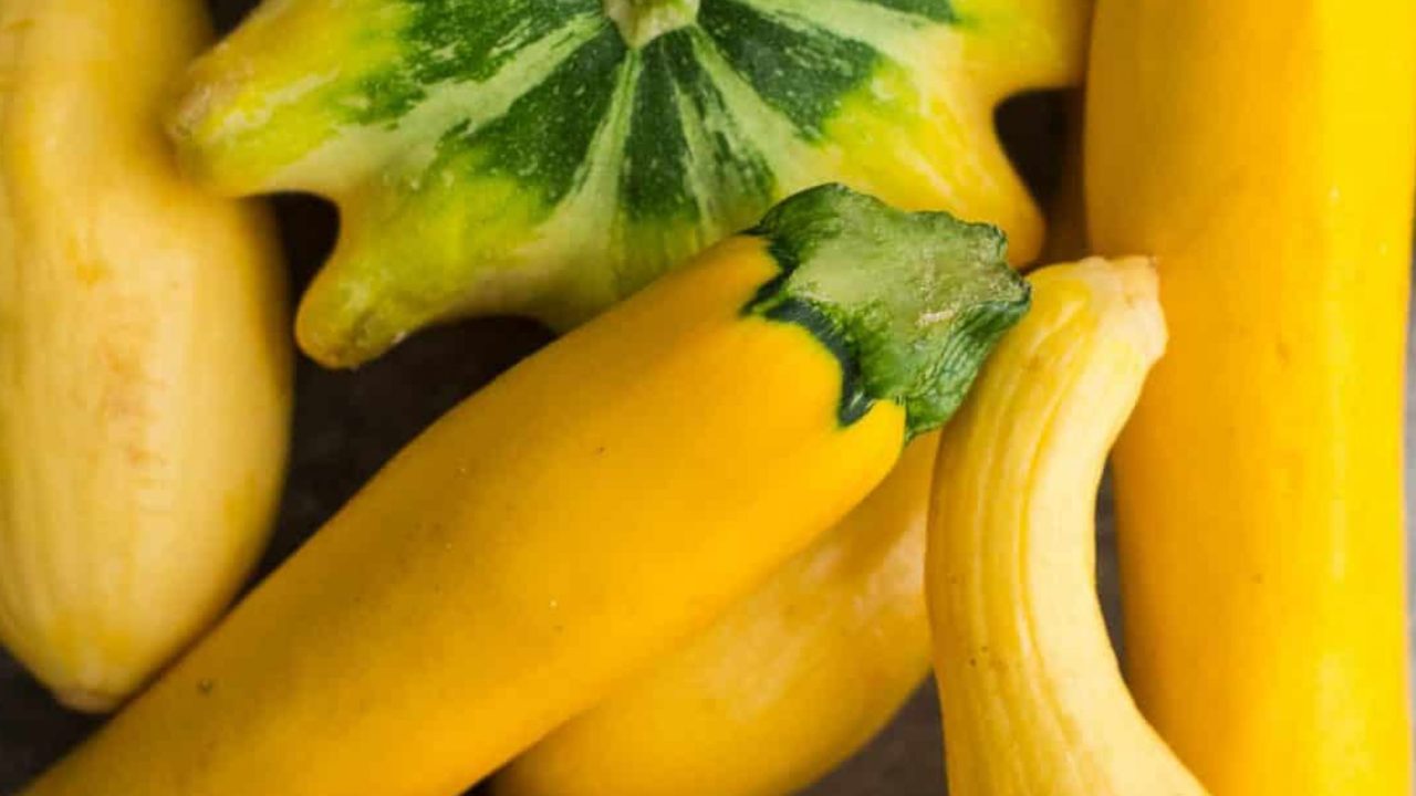 What are you planting in the garden this year? Squash.