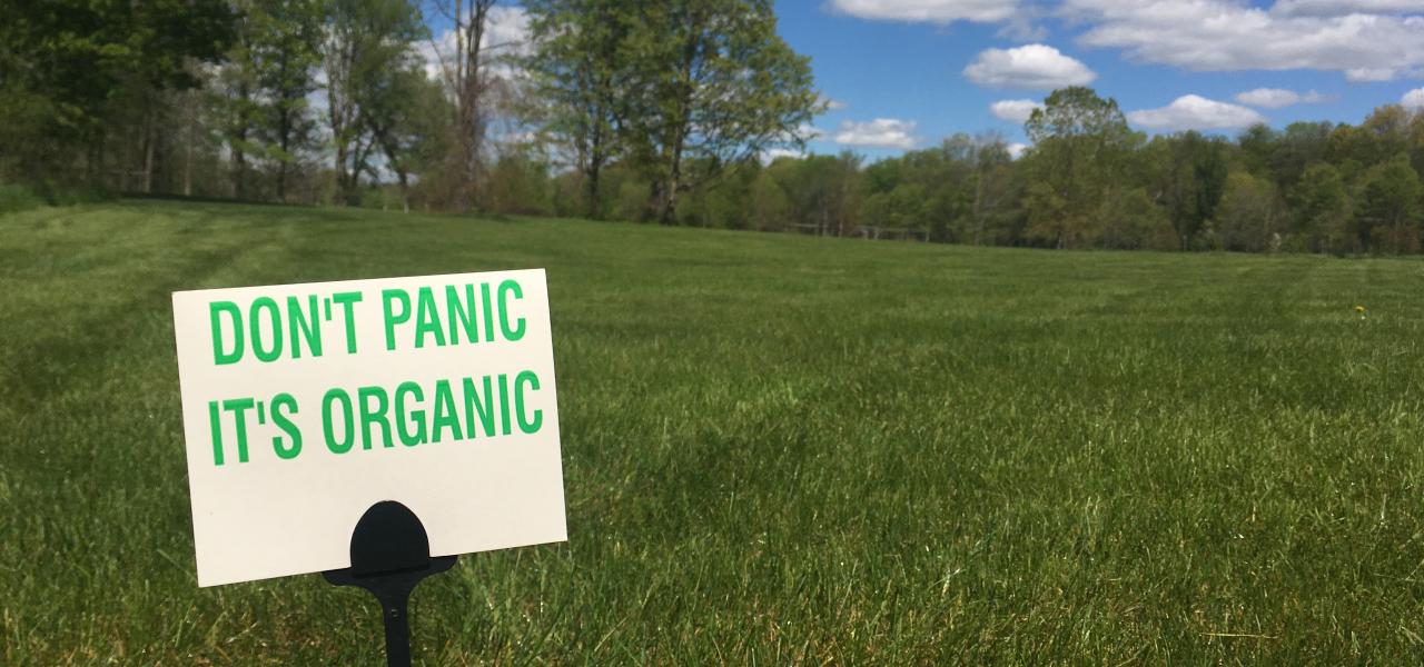What is Organic Lawn Care?
