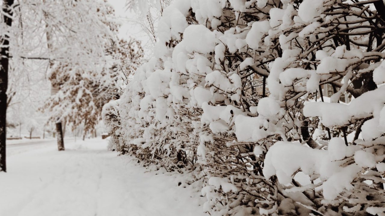 Your 5 Dos & Don’ts of Winter Land Care