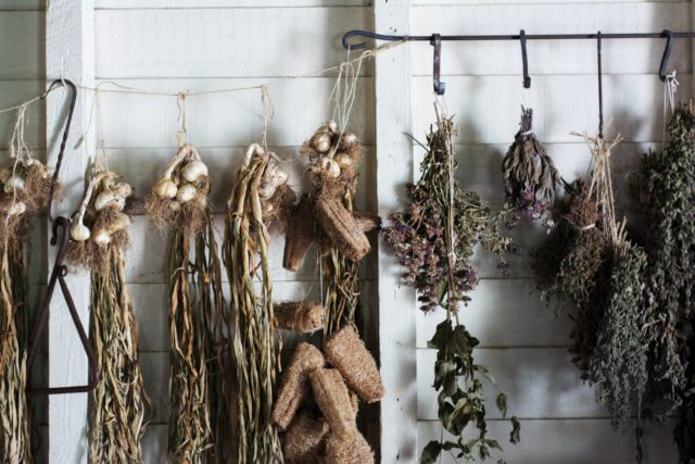 Photo of herbs and garlic drying against a whiite-washed wooden wall