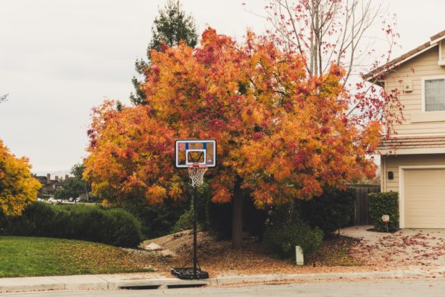 A basketball hoop stands on the curb of a suburban neighborhood. It is in front of a tree with bright orange foliage.