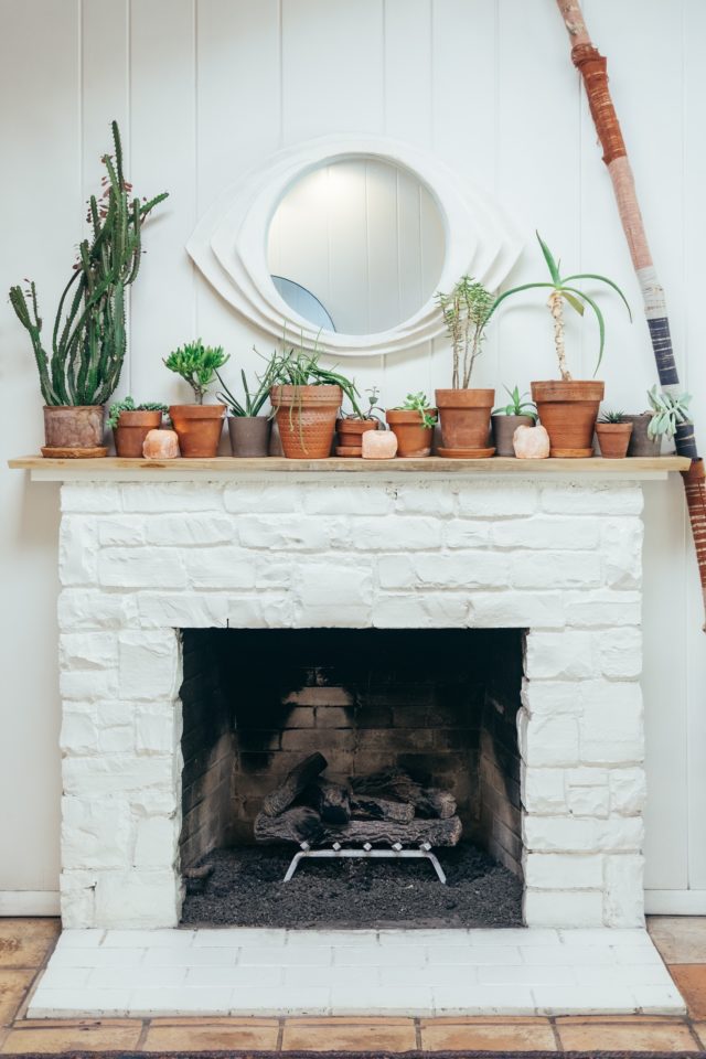 plants, mostly cactuses, in terracotta pots on a white mantlepiece